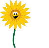sunflower3.gif